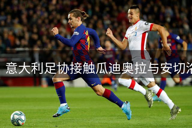 意大利足协接触瓜迪奥拉与安切洛蒂 马尔蒂尼确认选帅进展